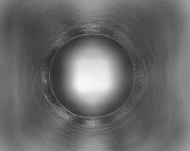 X0000059790755200510211117