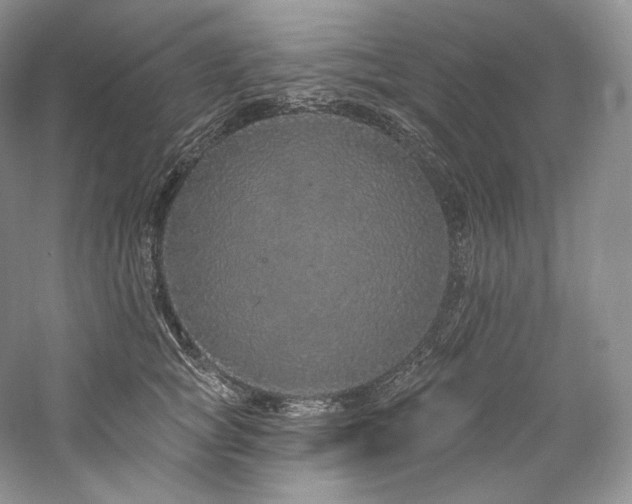 X0000059790757200510211117