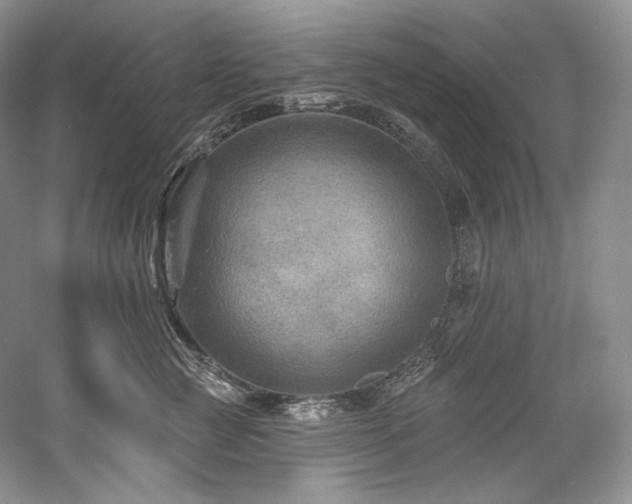 X0000059790761200510211117