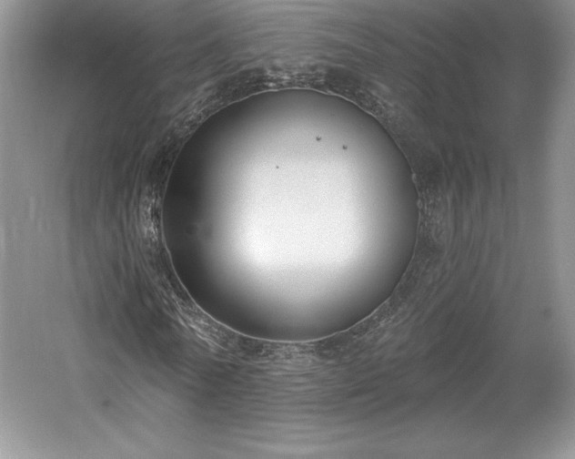 X0000059790770200510211116
