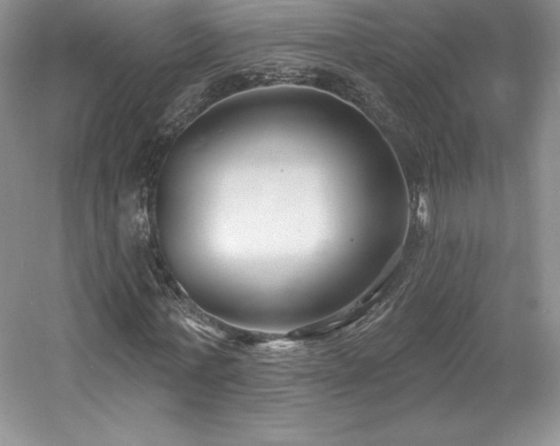 X0000059790771200510211116
