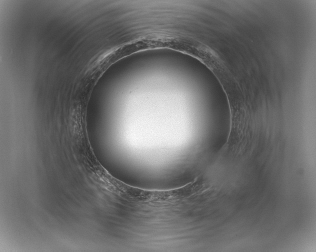 X0000059790773200510211116