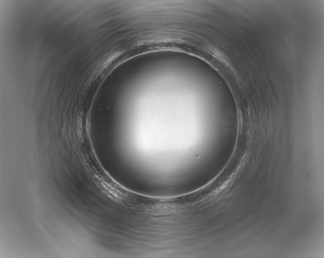 X0000059790777200510211116