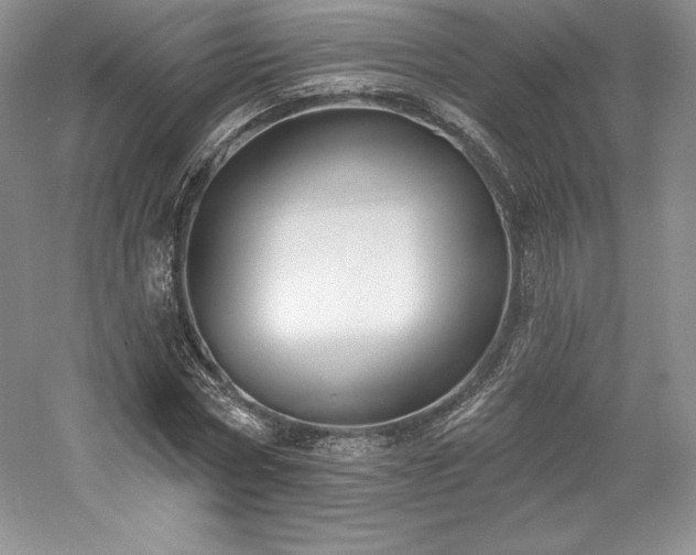 X0000059790778200510211116