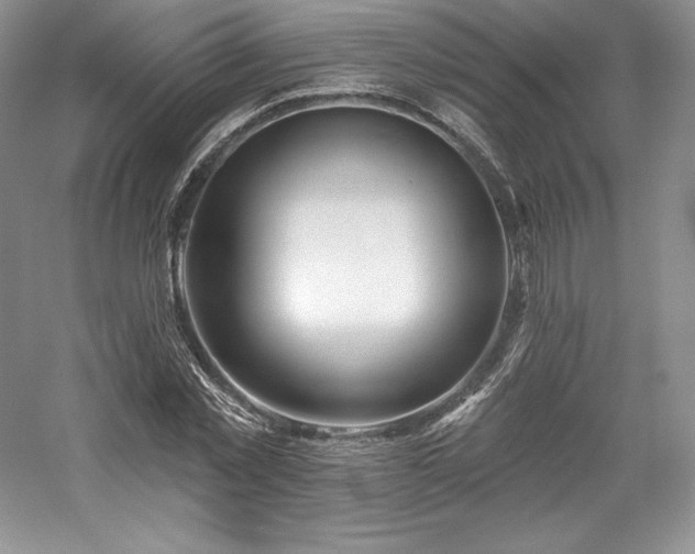 X0000059790781200510211116