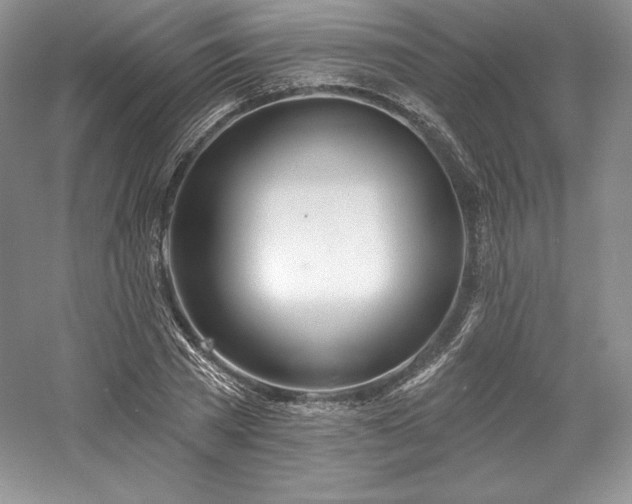 X0000059790785200510211116
