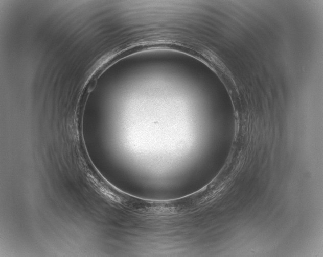 X0000059790789200510211116