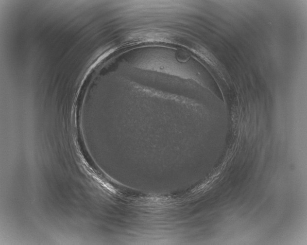 X0000059790790200510211116