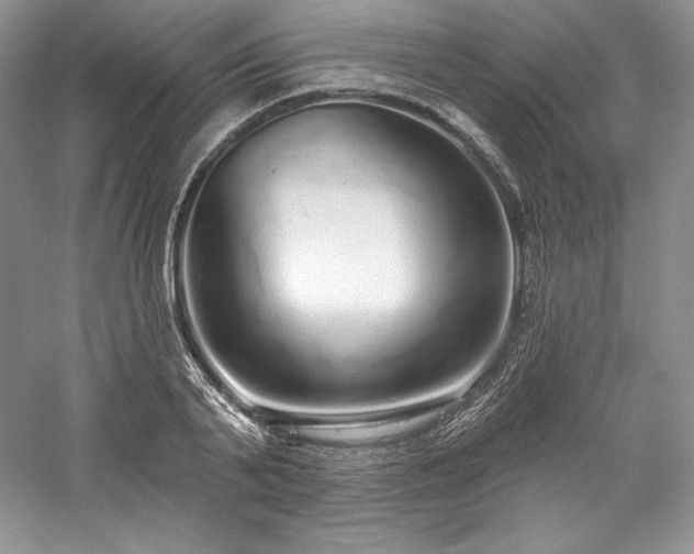 X0000059790791200510211116