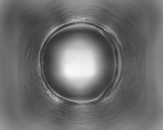 X0000059790792200510211116