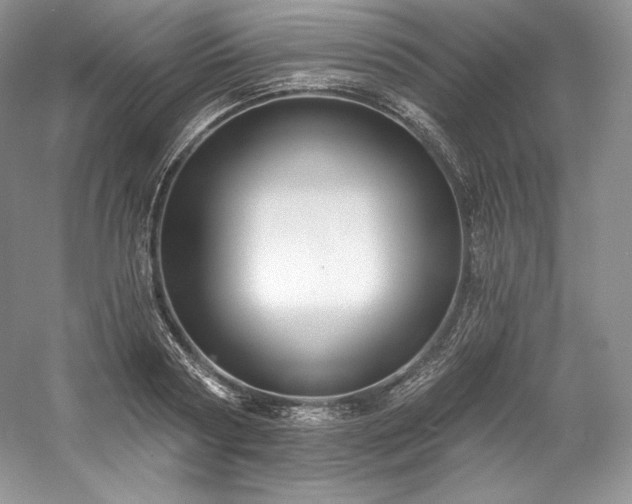 X0000059790794200510211116
