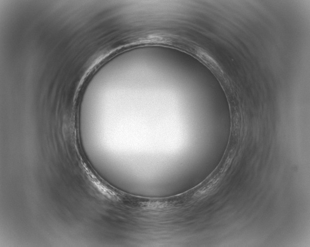 X0000059790800200510211116