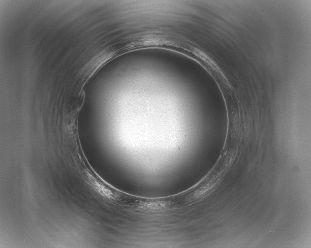 X0000059790801200510211116