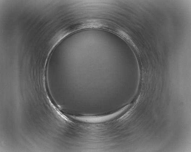 X0000059790802200510211116