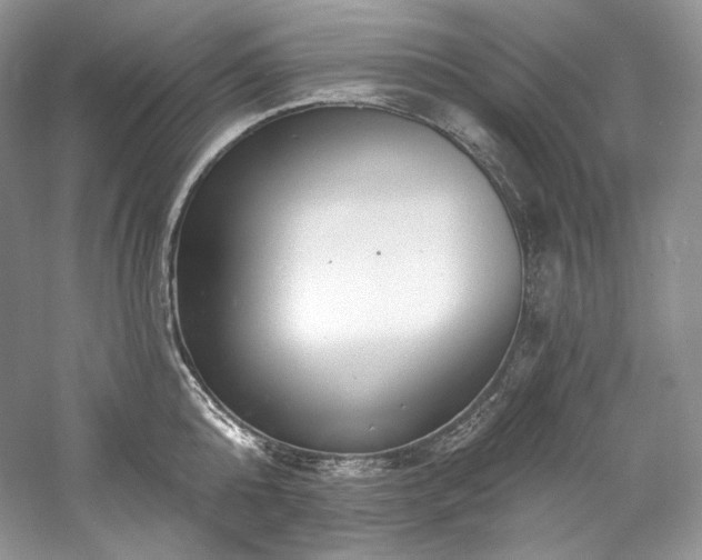 X0000059790808200510211116