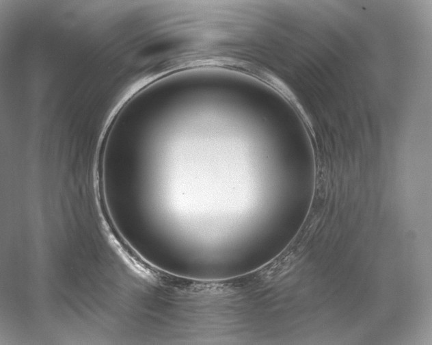 X0000059790811200510211116