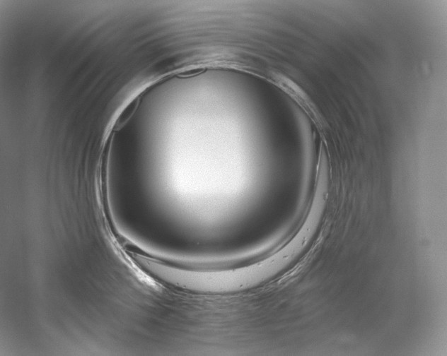 X0000059790812200510211116