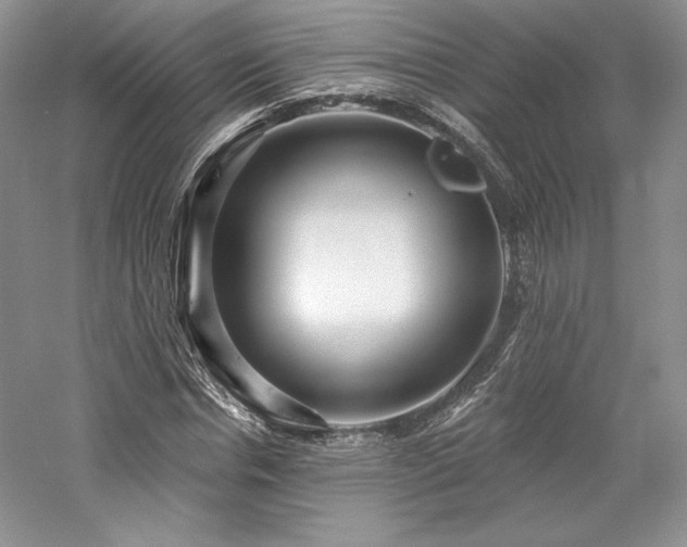 X0000059790826200510211115