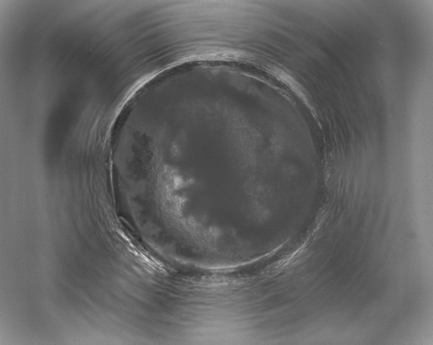 X0000059790829200510211115