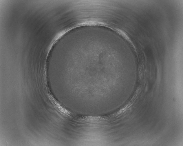 X0000059790831200510211115