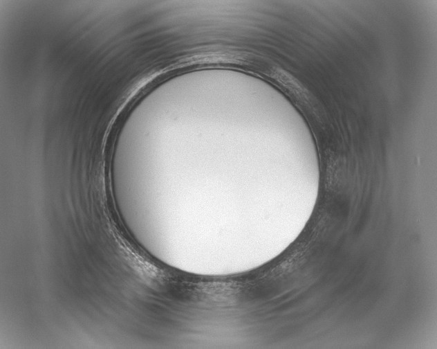 X0000059790836200510211115