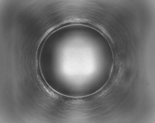 X0000059790837200510211115