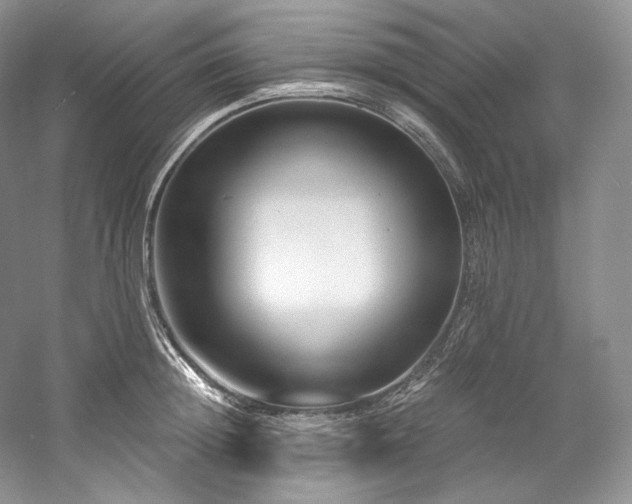 X0000059790852200510211115