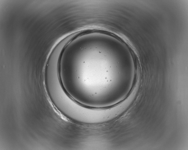 X0000059790862200510211115