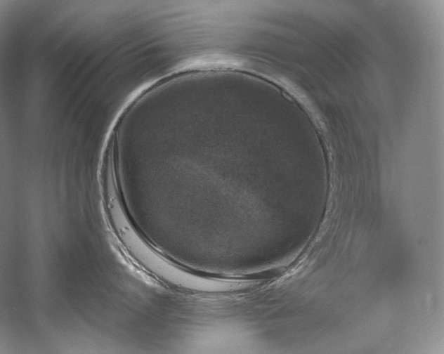 X0000059790864200510211116