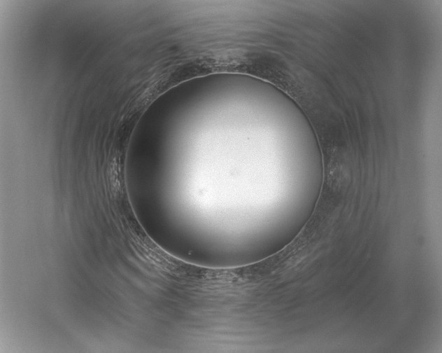 X0000059790866200510211115