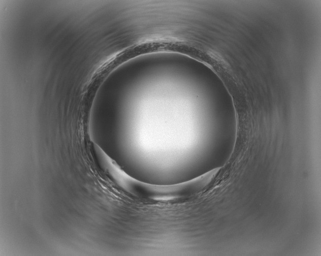 X0000059790872200510211115