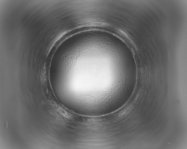 X0000059790875200510211115