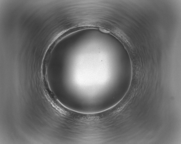 X0000059790884200510211114