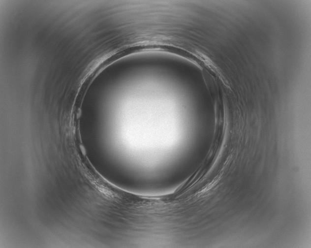 X0000059790885200510211114