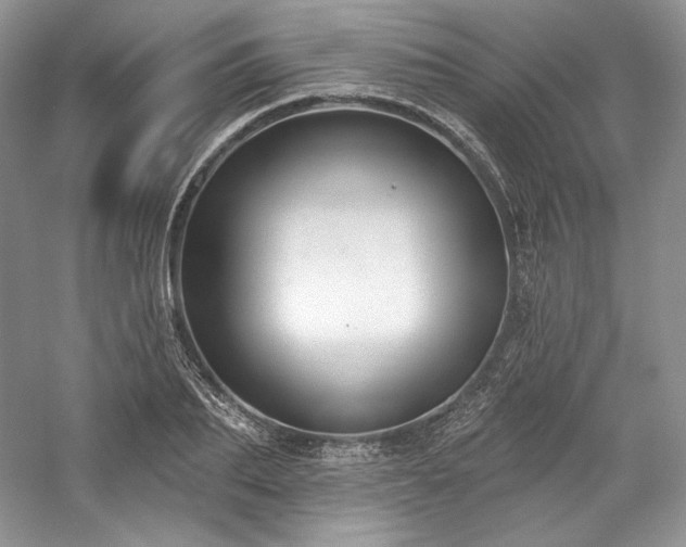 X0000059790887200510211114
