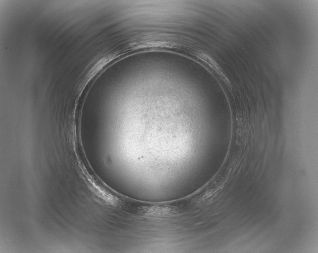 X0000059790890200510211114
