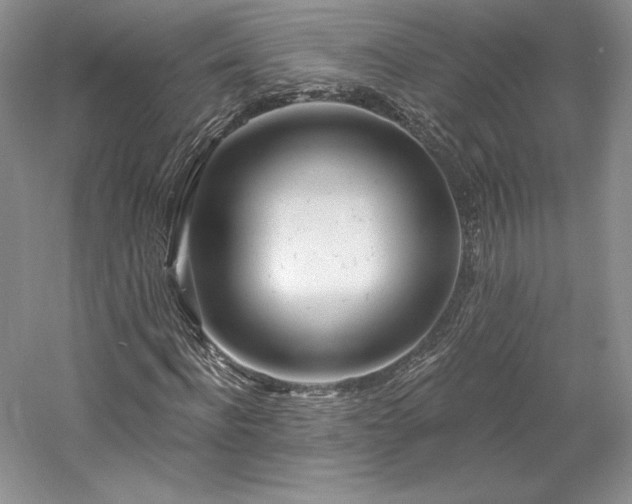 X0000059790916200510211113