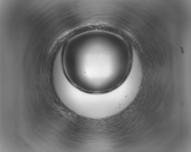 X0000059790920200510211113