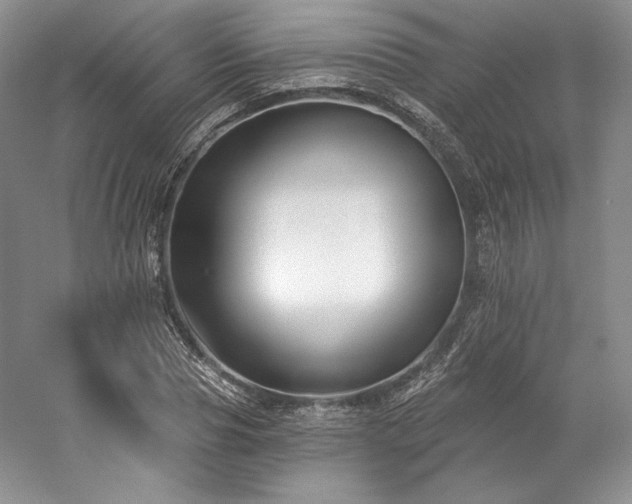 X0000059790929200510211113