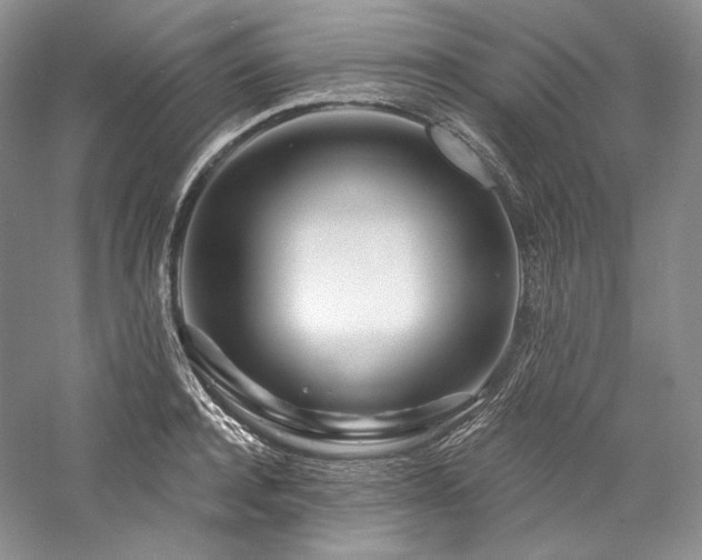 X0000059790944200510211114
