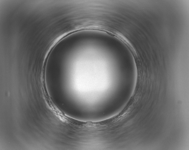 X0000059790956200510211114