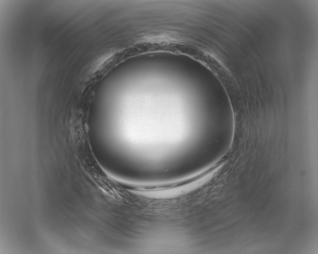 X0000059790968200510211113