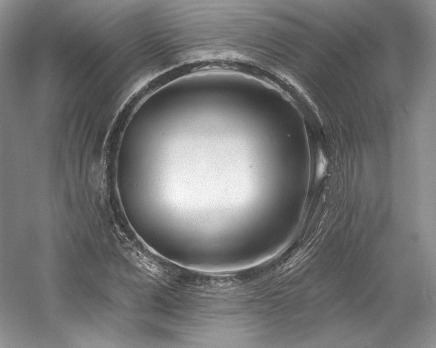 X0000059790975200510211113