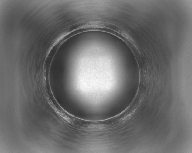 X0000059790981200510211113
