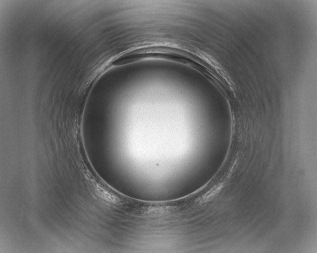 X0000059790985200510211113
