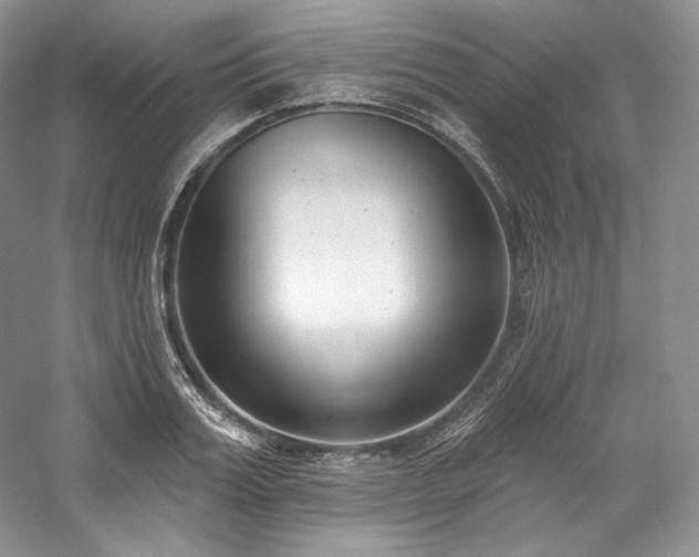 X0000059790987200510211113