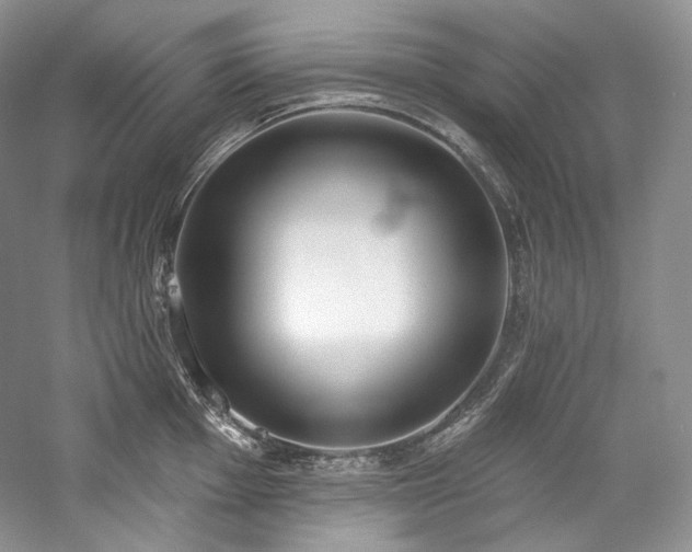 X0000059791001200510211112