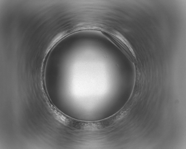 X0000059791002200510211112