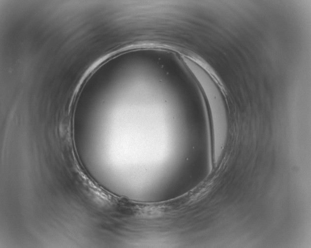 X0000059791004200510211112