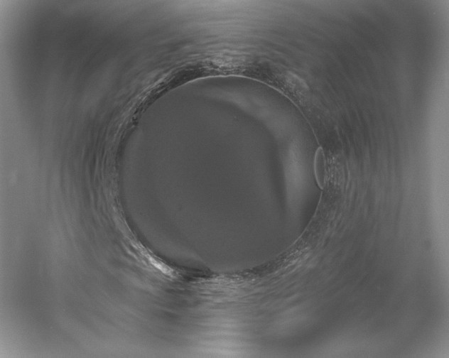 X0000059791009200510211111
